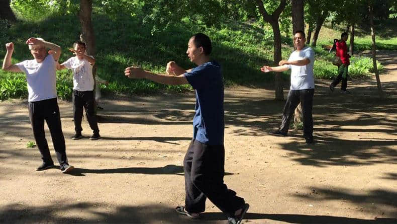 宋博士学野马分鬃