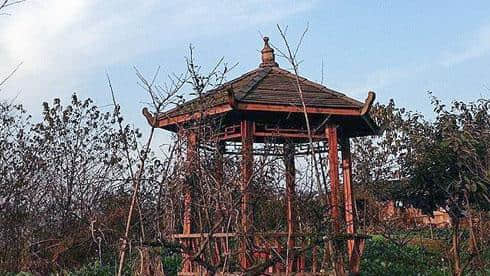 从证券操盘手到太极大师