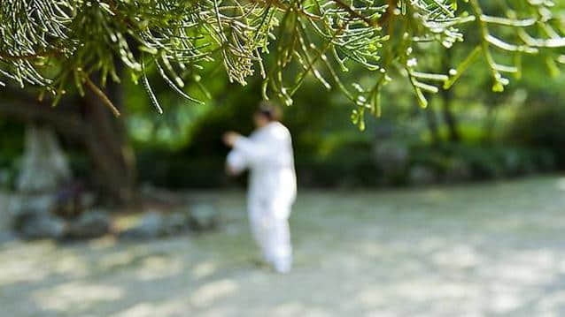 太极拳之得机得势