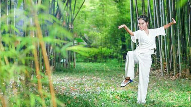 太极腿法二