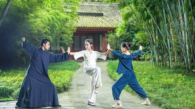 太极之竞赛推手和真功夫