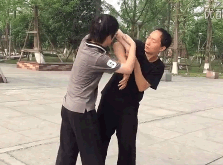 太极罗老师推手
