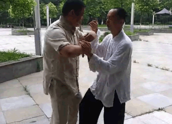 推手找劲杨建