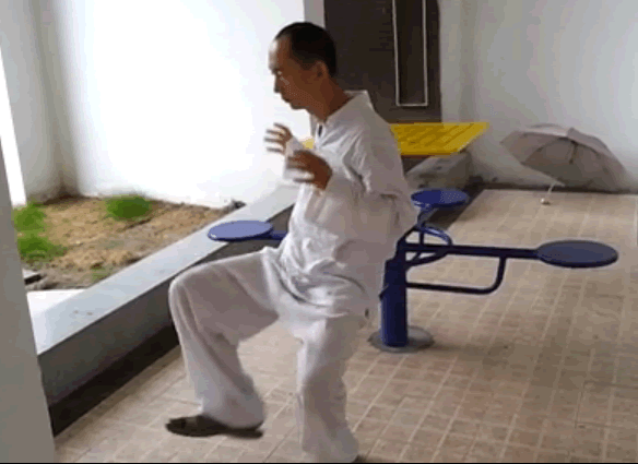 太极罗老师坐式太极拳