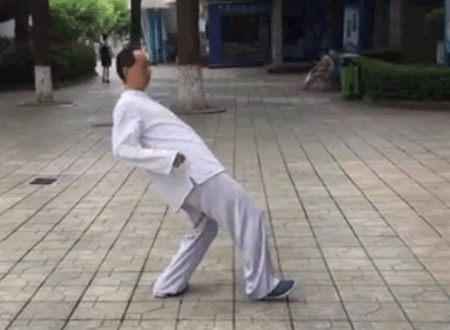 太极罗老师讲胯
