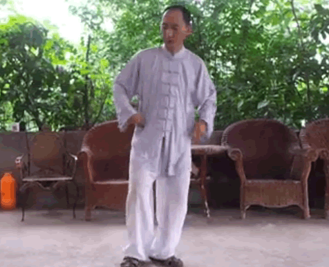 太极内功—提手上式