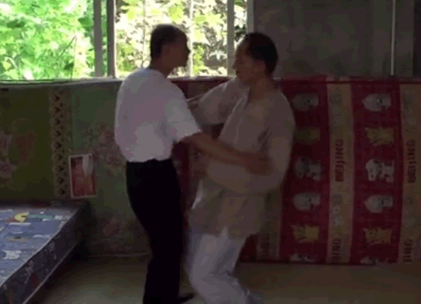 定步推手