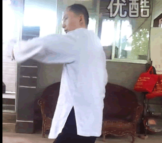 揽雀尾