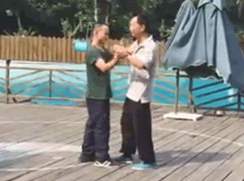 推手陶刚