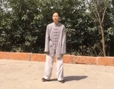 太极拳架