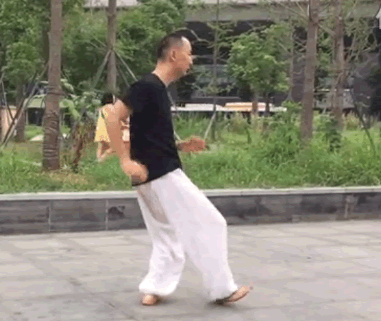 太极拳架