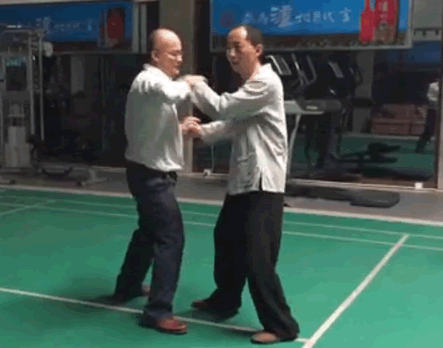 左、右搂膝拗步掌
