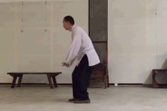 太极拳架