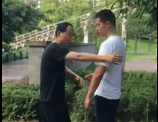 太极罗老师教龙