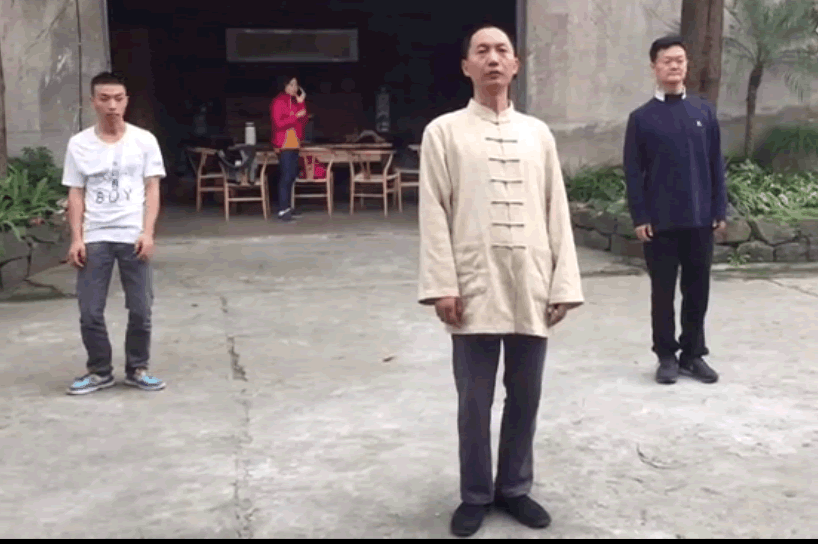 拳架分解(一）