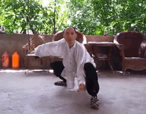 太极内功—龙游渊底