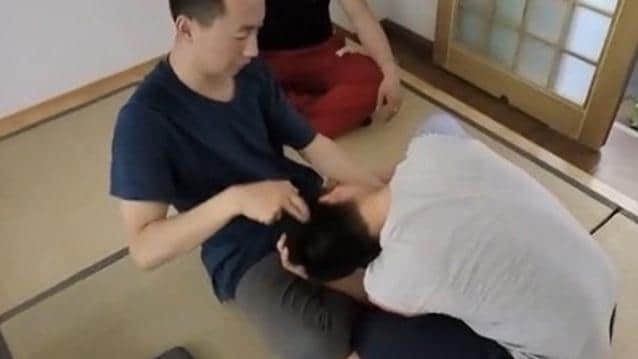 太极罗老师分筋错骨1