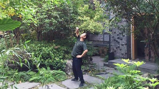 太极拳的实战运用