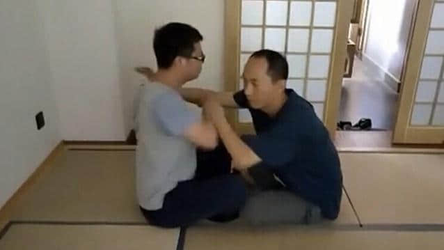 太极罗老师实战地面之二