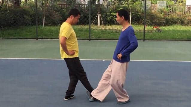 太极罗老师内功临渊撤位