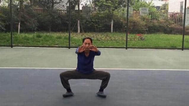 太极罗老师内功推掌