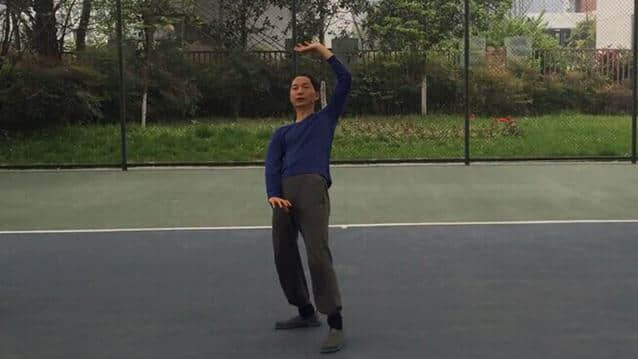 太极罗老师内功一一白鹤亮翅