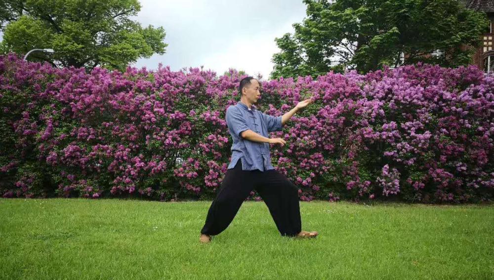 Tai Chi 太极-By Robin Niethammer 罗宾·尼特哈默尔
