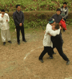 罗宾动图1.gif